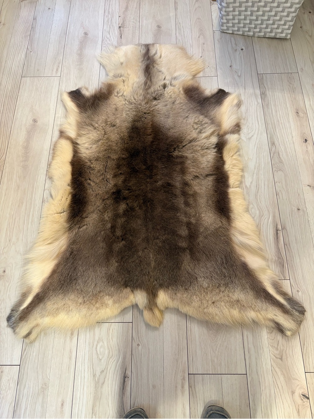 Plush Brown and Cream Fur Accent Rug - Home Accents